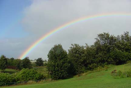 Maui rainbow